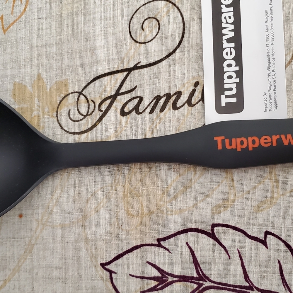 Spoon - Picture 4 of 4